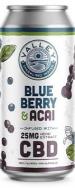 Connecticut Valley Brewing - Blueberry Acai CBD 0 (415)