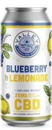 Connecticut Valley Brewing - Blueberry Lemon CBD (4 pack 16oz cans) (4 pack 16oz cans)